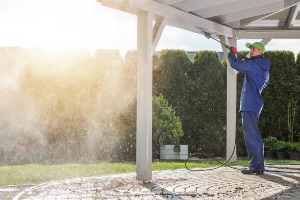 Best Winterizing Services  in Camden, OH
