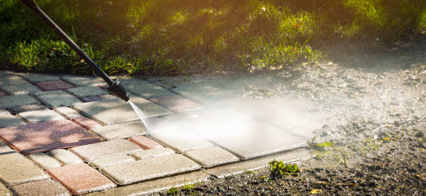 Best Driveway Pressure Washing  in Camden, OH